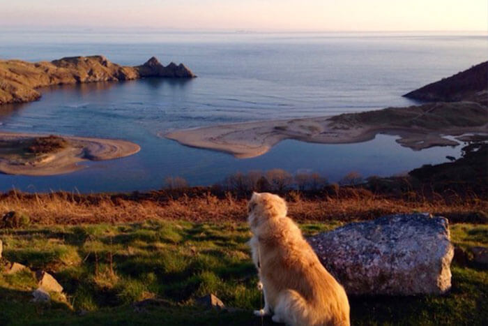 three cliffs bay